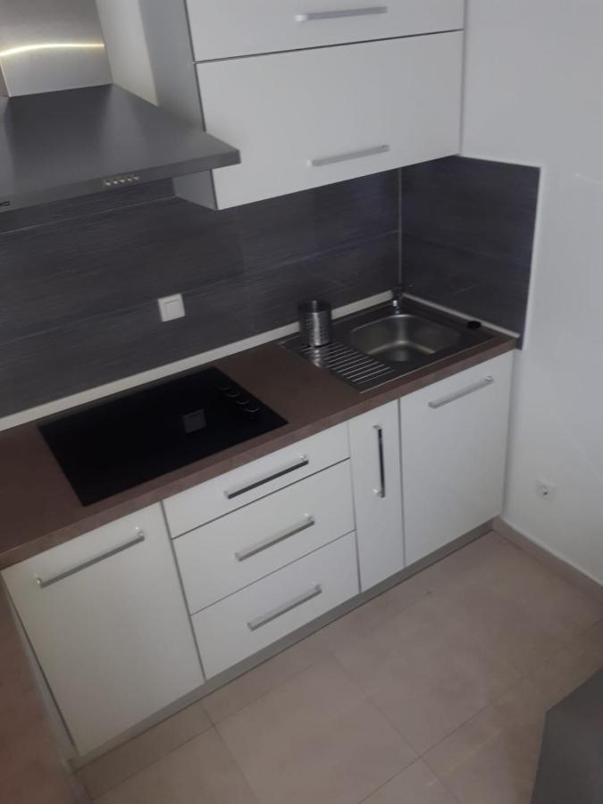 Studio Apartman Labrador Водице Екстер'єр фото